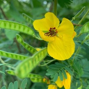 Meet your Posher, Laurel